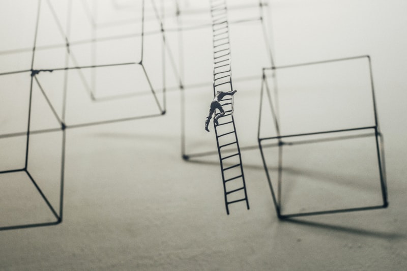 Social Traps: Escape the Self-Interest Paradox