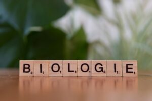 Sociobiology: The Biological Roots of Our Social Lives