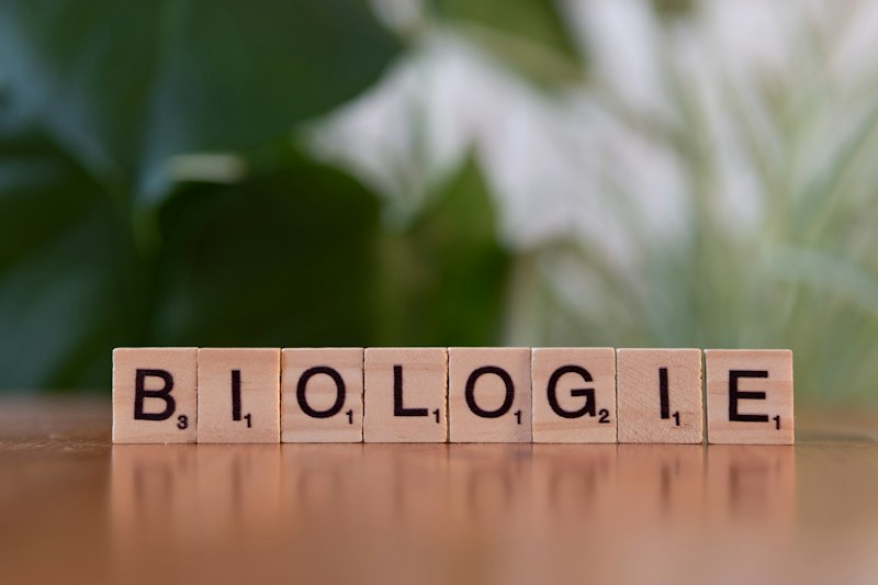 Sociobiology: The Biological Roots of Our Social Lives