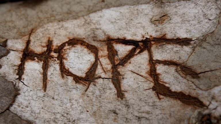 Sorge: The Hidden Foundation of Human Meaning