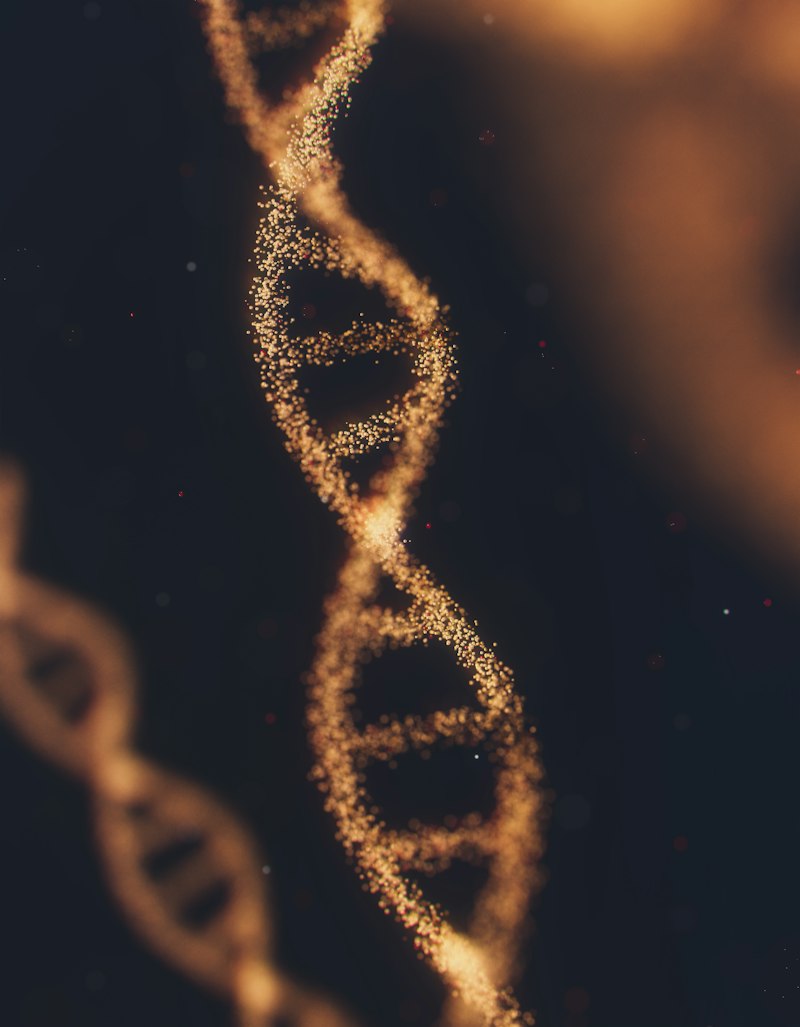 Spermatogenesis: The Hidden Biological Engine of Behavior