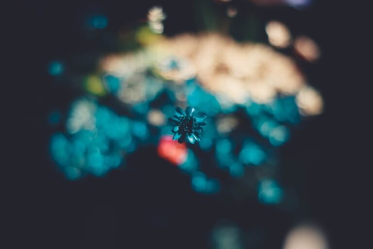 Stimulus Differentiation: Master the Art of Selective Focus