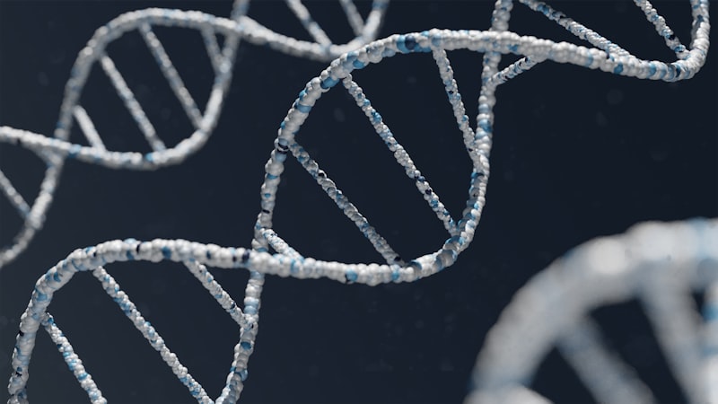 Subject Variables: Decoding the DNA of Human Behavior