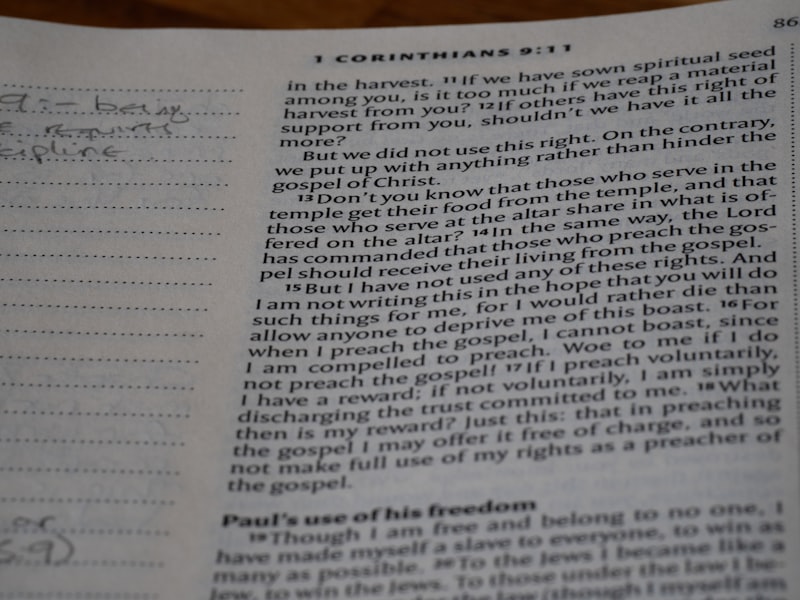 Subordination: Why We Crave the Comfort of Following