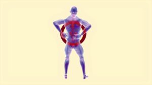 Tendon Reflex: The Body's Silent Protective Shield