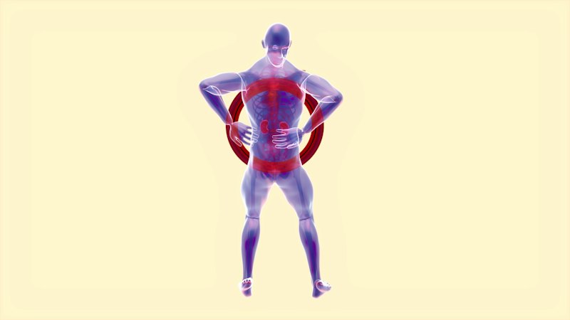 Tendon Reflex: The Body's Silent Protective Shield