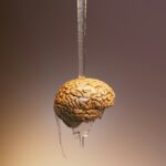 The All-or-None Law: How Your Neurons Fire for Survival