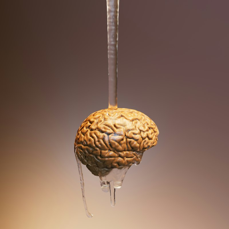 The All-or-None Law: How Your Neurons Fire for Survival