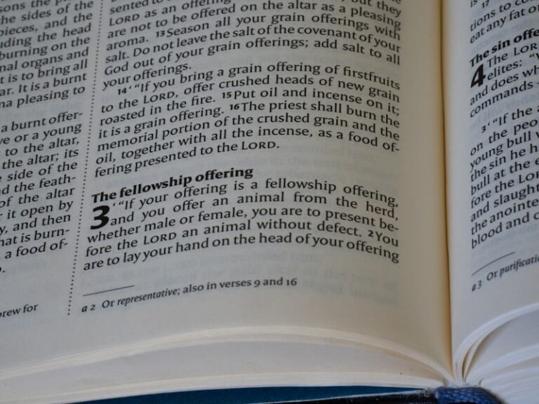 The Authority Principle: Why We Obey and Follow Leaders
