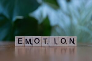 Transposition of Affect: Why You Feel Their Emotions