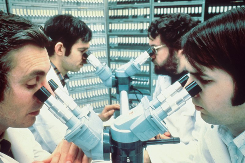 Triple-Blind Research: Eliminating Bias for Pure Results