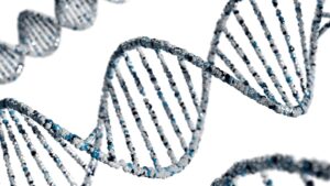 Twin Concordance: Decoding Your Shared Psychological DNA