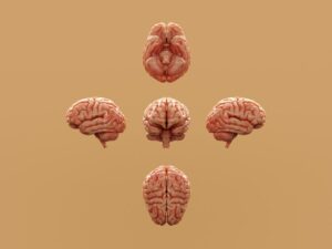 Urban Psychology: How City Life Rewires Your Brain