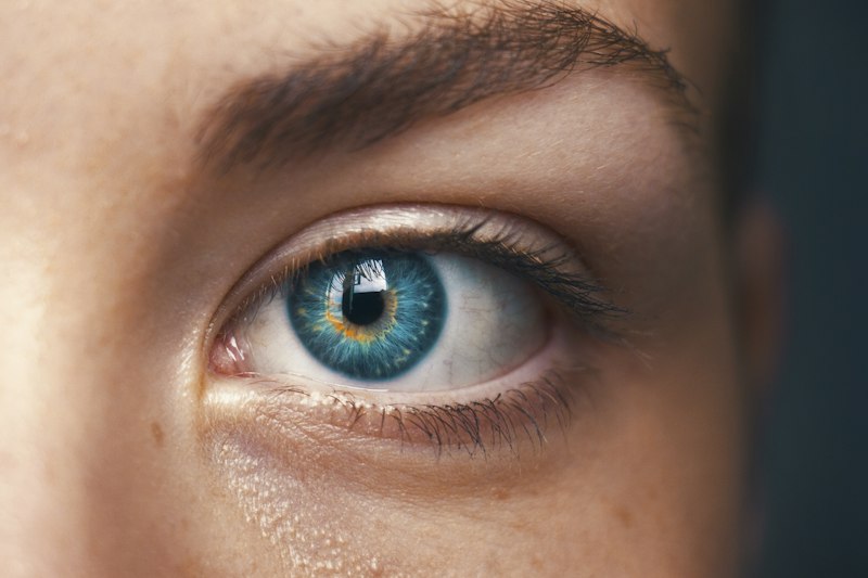 Visual Adaptation: How Your Eyes Reshape Your Reality