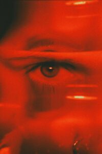 Visual Fixation: How Your Gaze Constructs Your Reality