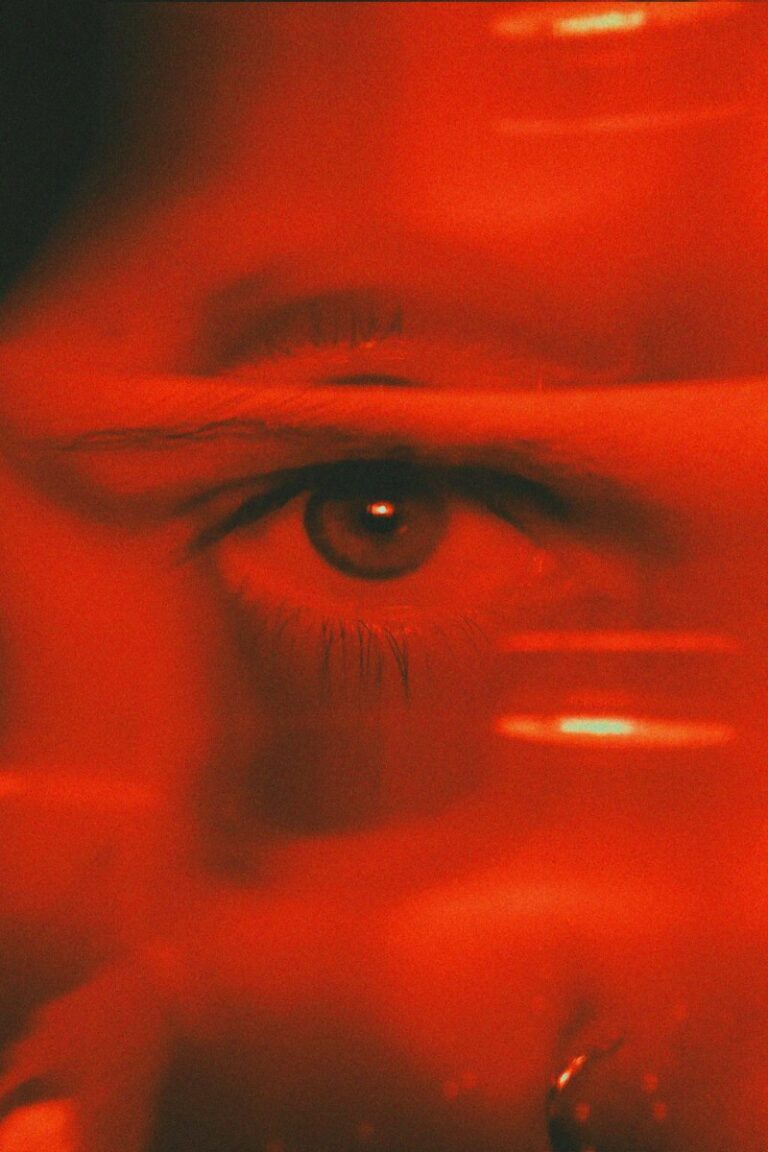 Visual Fixation: How Your Gaze Constructs Your Reality
