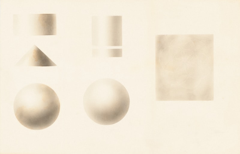 Visual Perception: How Shading Shapes Your Reality