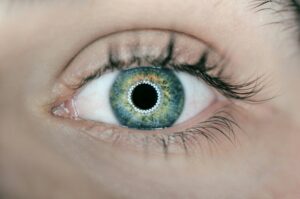 Visual Perception: How Your Eyes Sculpt Reality