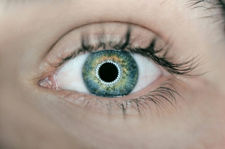 Visual Perception: How Your Eyes Sculpt Reality