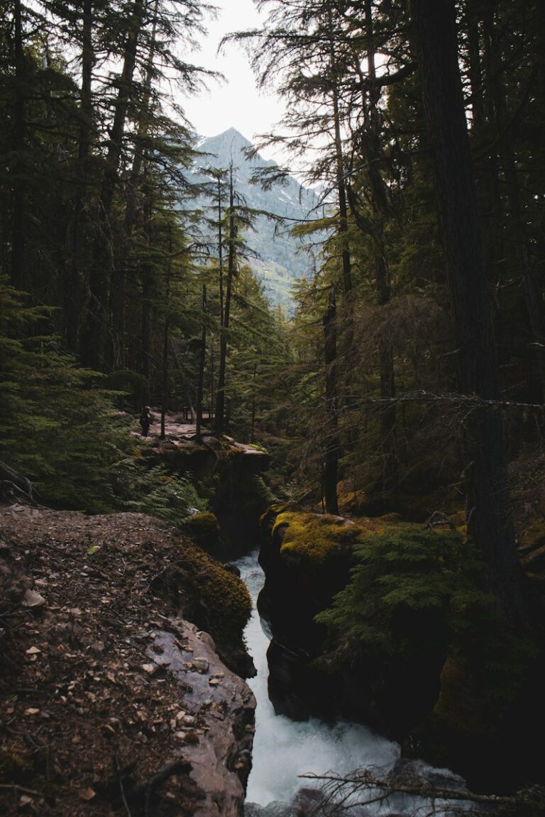 Wilderness Therapy: Discovering Self Through Nature