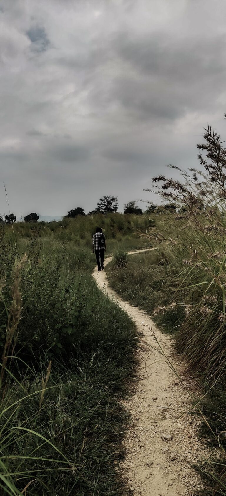 Withdrawal-Destructiveness: The Path to Social Isolation