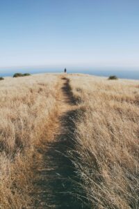 Withdrawal: Navigating the Complex Path to Recovery