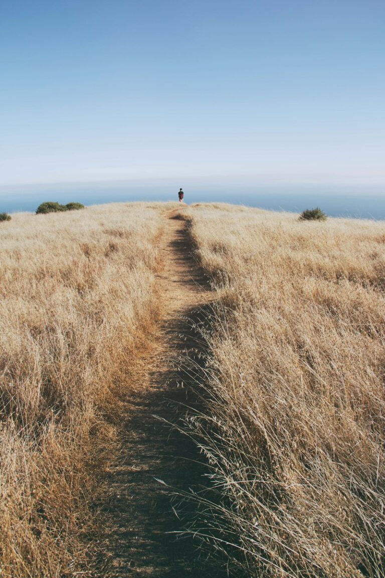Withdrawal: Navigating the Complex Path to Recovery