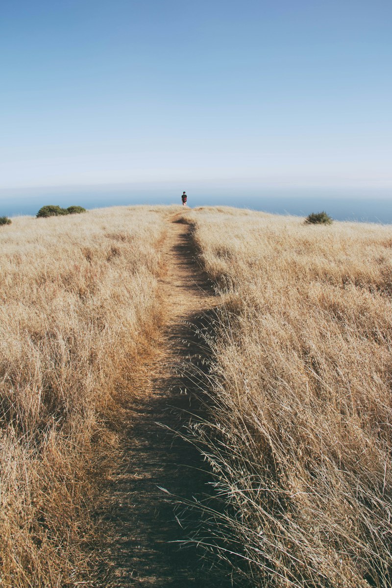 Withdrawal: Navigating the Complex Path to Recovery