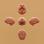AdSCC Psychology: Decoding Hidden Aggressive Patterns