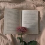 Aesthetic Preference: Seeing Beauty in the Mundane
