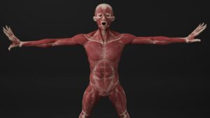 Alien Limb Syndrome: When Your Body Rebels Against You