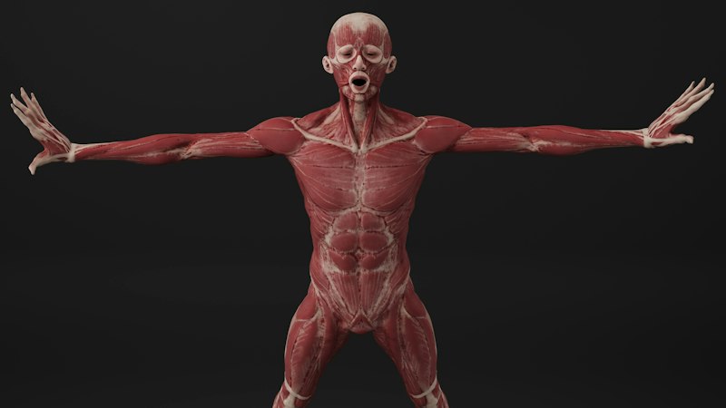 Alien Limb Syndrome: When Your Body Rebels Against You