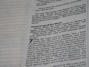 Alogia: Unlocking the Mystery of Limited Speech