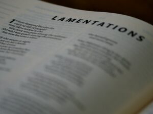 Alternation Learning: Break Free From Rigid Habits