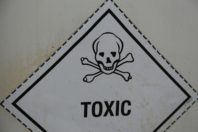 Amphetamine Toxicity: Recognizing Critical Brain Danger