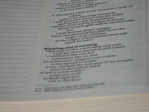 Anomie: Finding Meaning in a Normless World