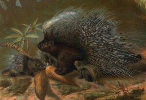 Antipredator Behavior: The Evolutionary Art of Survival