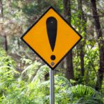 Aposematism: The Psychology of Warning Signals