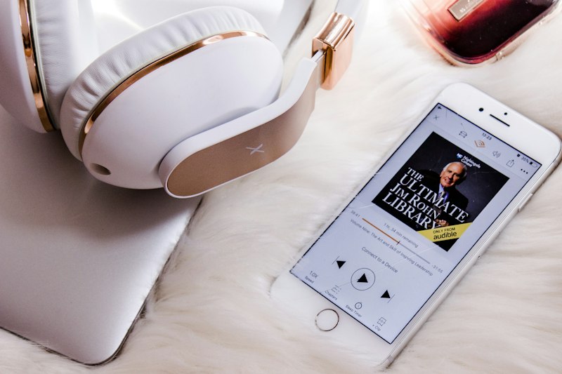 Auditory Perception: How Audiobooks Bridge Sensory Gaps