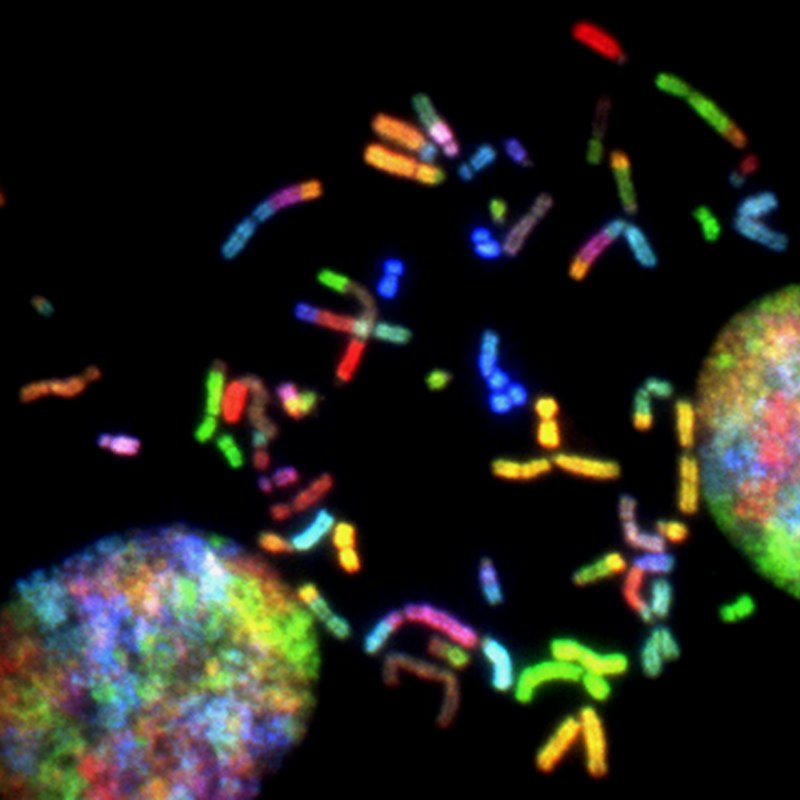 Autocrine Signaling: The Biology of Self-Regulation
