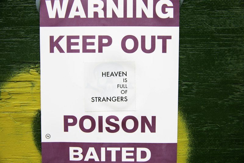 Bait Shyness: Why We Avoid What Hurts Us