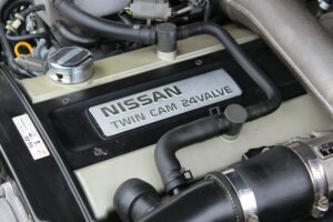 Basal Ganglia: The Hidden Engine Behind Your Every Move