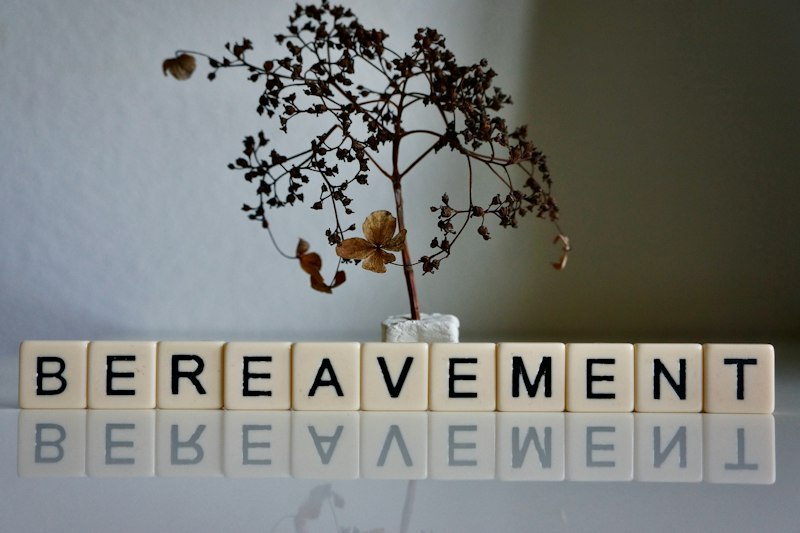 Benevolent Eclecticism: A Smarter Path to Healing