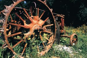 Biological Aging: Why We Decline Like Old Machines
