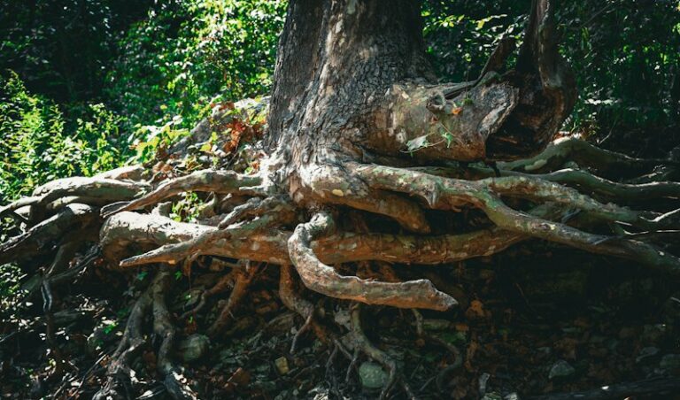 Biological Kinship: The Roots of Human Behavior