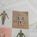 Biological Sex: Decoding the Hidden Blueprint of the Self