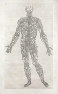 Biological Sex: Mapping the Roots of Human Identity