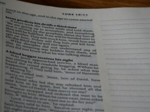 Blind Review: Removing Bias for Clearer Insight