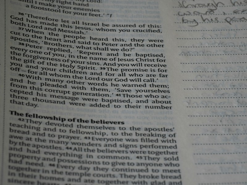 Caretaking Behavior: The Hidden Cost of Being Over-Helpful