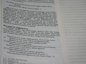 Case Alternation: How Grammar Rewires Your Mental Map